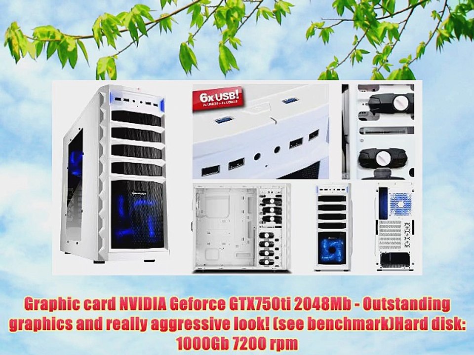 Sedatech PC Gamer Advanced Desktop (Intel i7-4770 4x 3.4GHz Processor 8GB RAM 1000GB HDD USB