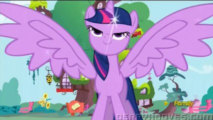 My Little Pony Friendship is Magic Promo [Discovery Family]