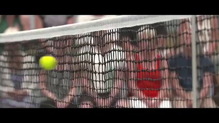 Dogs Have Been Used As Ball Boys In A Tennis Practice