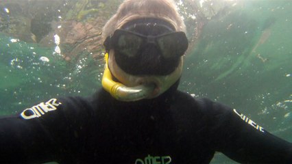 Grandes Descobertas, Ilha do Tesouro, Moal Gigante da Ilha da Páscoa, Praia Secreta, Peixes Venenosos, Navegação no Arquipélago da Almada, 25 milhas submarinas, Marcelo Ambrogi, Ubatuba, SP, Brasil, (14)