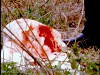 Forensic Files - S02E02 The Dirty Deed