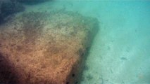 Grandes Descobertas, Ilha do Tesouro, Moal Gigante da Ilha da Páscoa, Praia Secreta, Peixes Venenosos, Navegação no Arquipélago da Almada, 25 milhas submarinas, Marcelo Ambrogi, Ubatuba, SP, Brasil, (27)