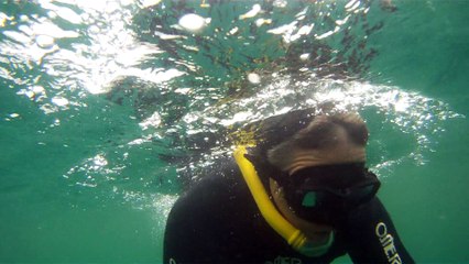 Grandes Descobertas, Ilha do Tesouro, Moal Gigante da Ilha da Páscoa, Praia Secreta, Peixes Venenosos, Navegação no Arquipélago da Almada, 25 milhas submarinas, Marcelo Ambrogi, Ubatuba, SP, Brasil, (31)