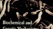 Download Biochemical and Genetic Mechanisms Used by Plant Growth Promoting Bacteria ebook {PDF} {EPUB}