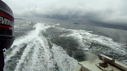 Grandes Descobertas, Ilha do Tesouro, Moal Gigante da Ilha da Páscoa, Praia Secreta, Peixes Venenosos, Navegação no Arquipélago da Almada, 25 milhas submarinas, Marcelo Ambrogi, Ubatuba, SP, Brasil, (41)