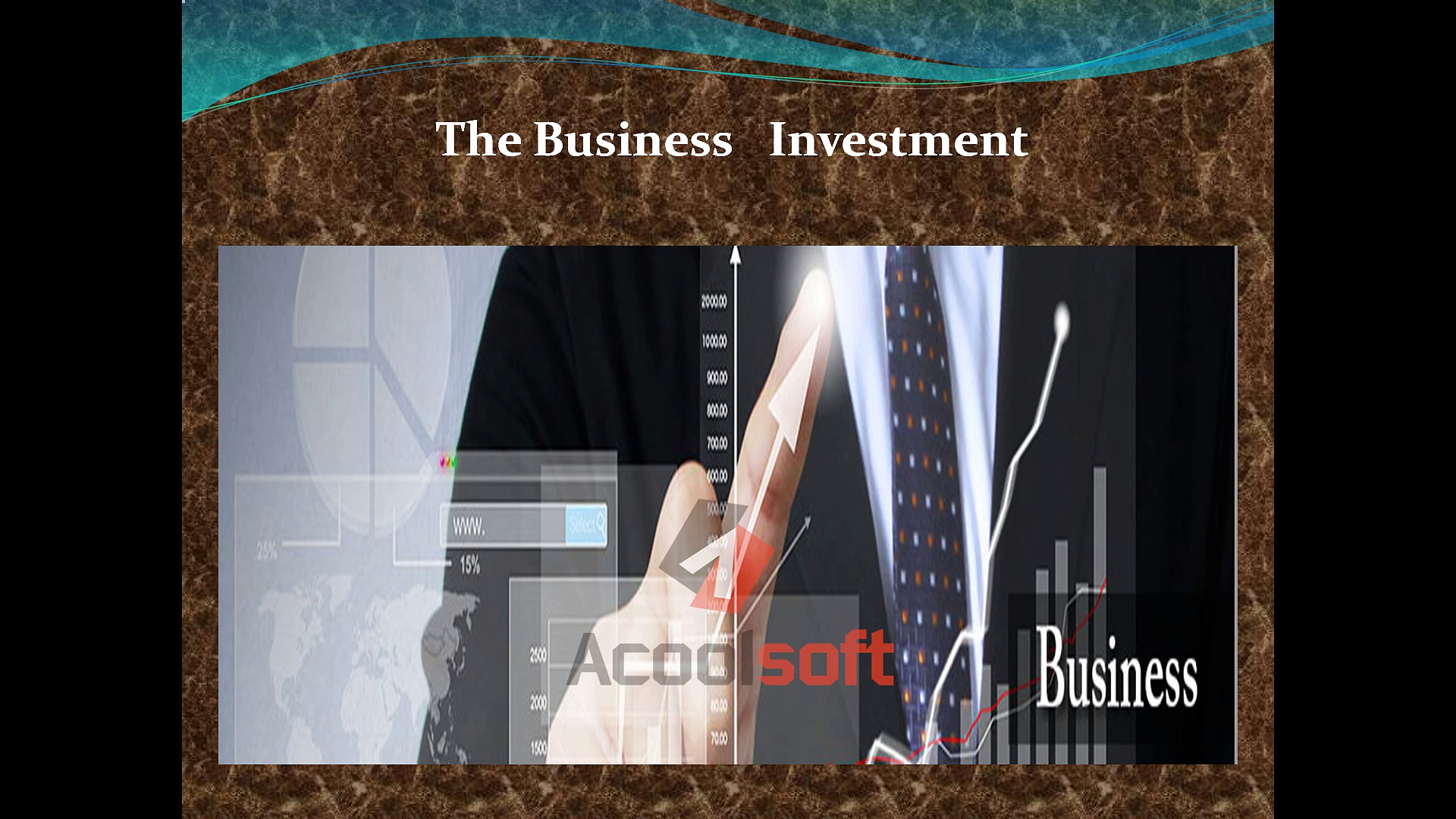 The Business   Investment