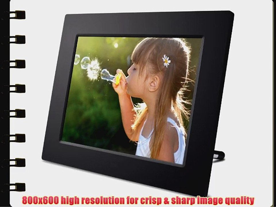 Viewsonic VFD823-50 8-Inch Digital Photo Frame with 800x600 High Resolution and Clock/Calendar