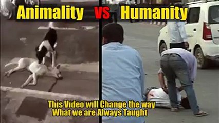Humanity VS Animality