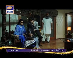 Parvarish Last Episode On ARY Digital
