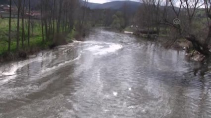 Manyas, Mürvetler Deresi'nde Su Kirliliği