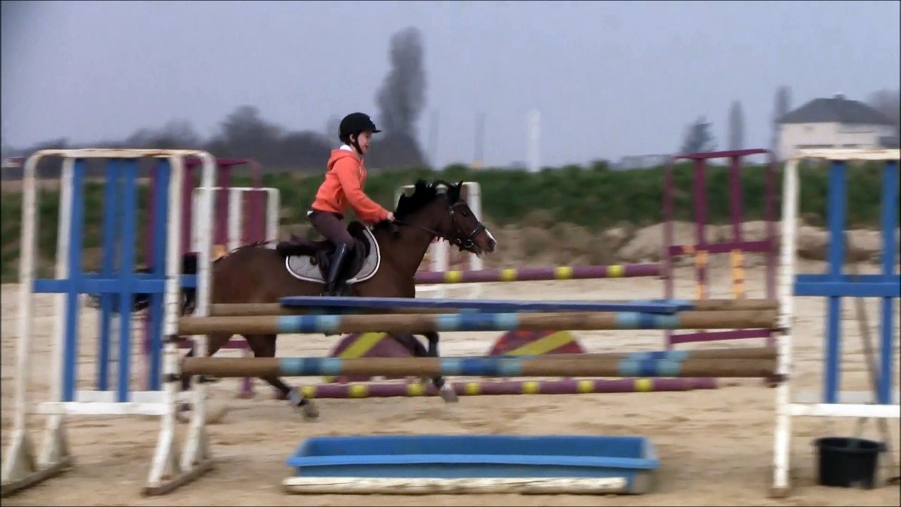 Séance du 18/03/2015