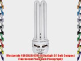 Westpointe 4U65DL1B 65W 4U Daylight Cfl Bulb Compact Fluorescent Photo Bulb Photography