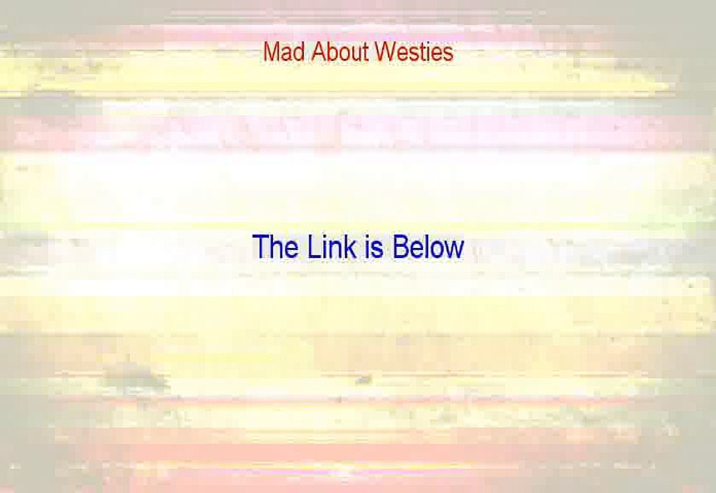 Mad About Westies Review (Mad About Westiesmad about westies 2015)