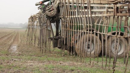 Épandage avant les semis de maïs