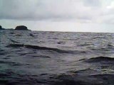 Grandes Descobertas, Ilha do Tesouro, Moal Gigante da Ilha da Páscoa, Praia Secreta, Peixes Venenosos, Navegação no Arquipélago da Almada, 25 milhas submarinas, Marcelo Ambrogi, Ubatuba, SP, Brasil, (67)