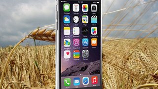 Apple iPhone 6 Space Gray 16 GB Unlocked