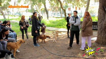 WOW! - S02: Επεισόδιο #67