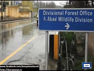 Dunya News - Abbottabad: Wildlife Dept notices illegal killing of at least three cheetas