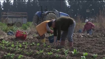 Sofralara "İnovatif" Lezzetler Geliyor