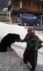 Karadenizli ninenin hayvan sevgisi