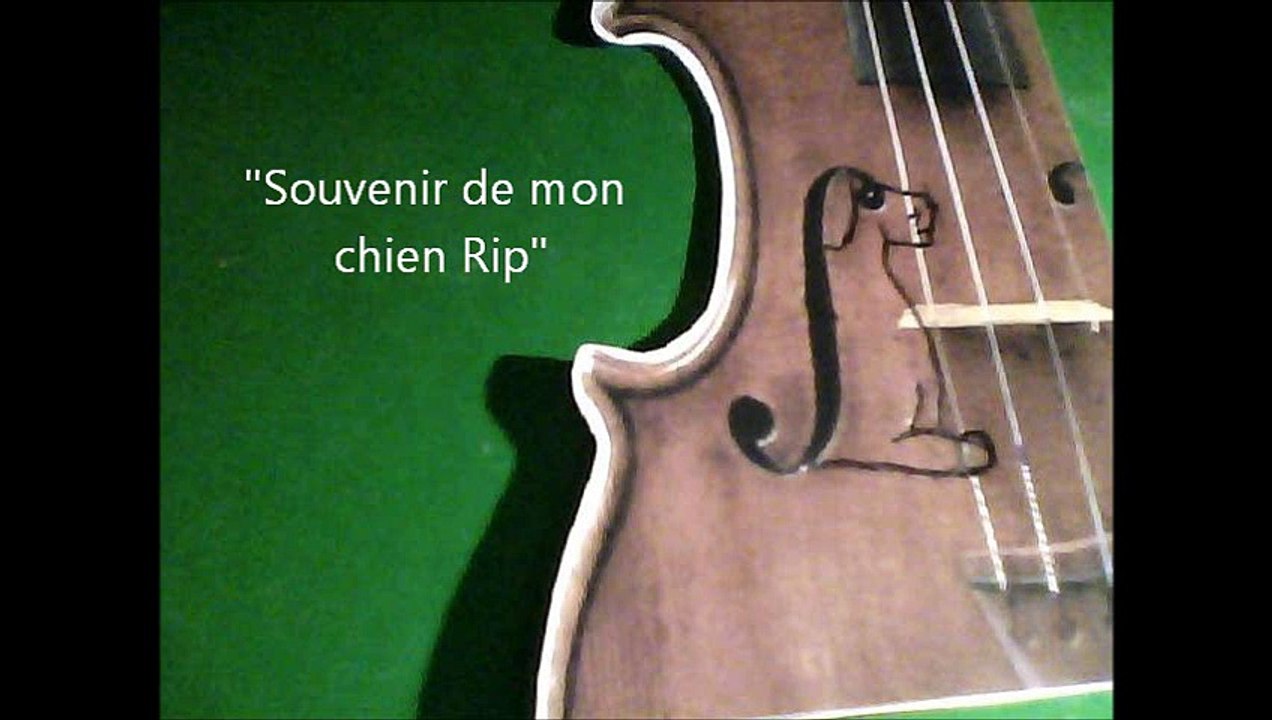 Souvenir de mon chien au violon