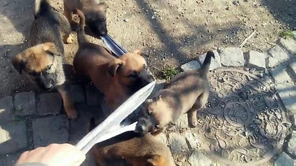 Be Aware H's @ Kämpfer