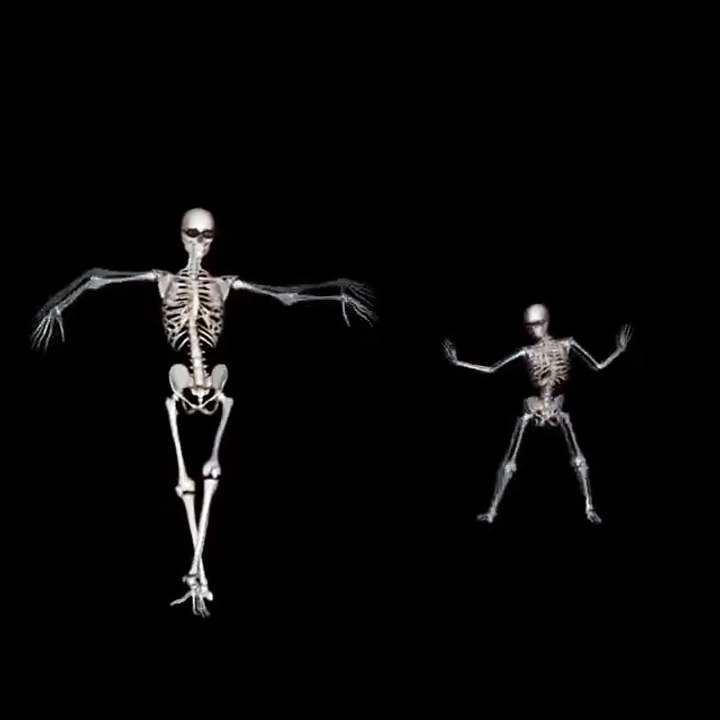 401329113357384.mp4