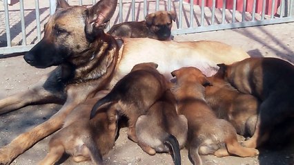 Be Aware H's @ Manieren / Manners