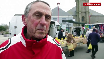 Départementales. A Plouguerneau (29), des électeurs plutôt mobilisés ?