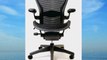 Aeron Chair by Herman Miller - Highly Adjustable - Graphite Frame - Lumbar Pad - Carbon Wave