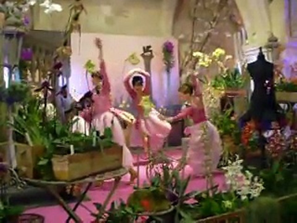 Ballets Inauguration exposition orchidées VAUCELLES