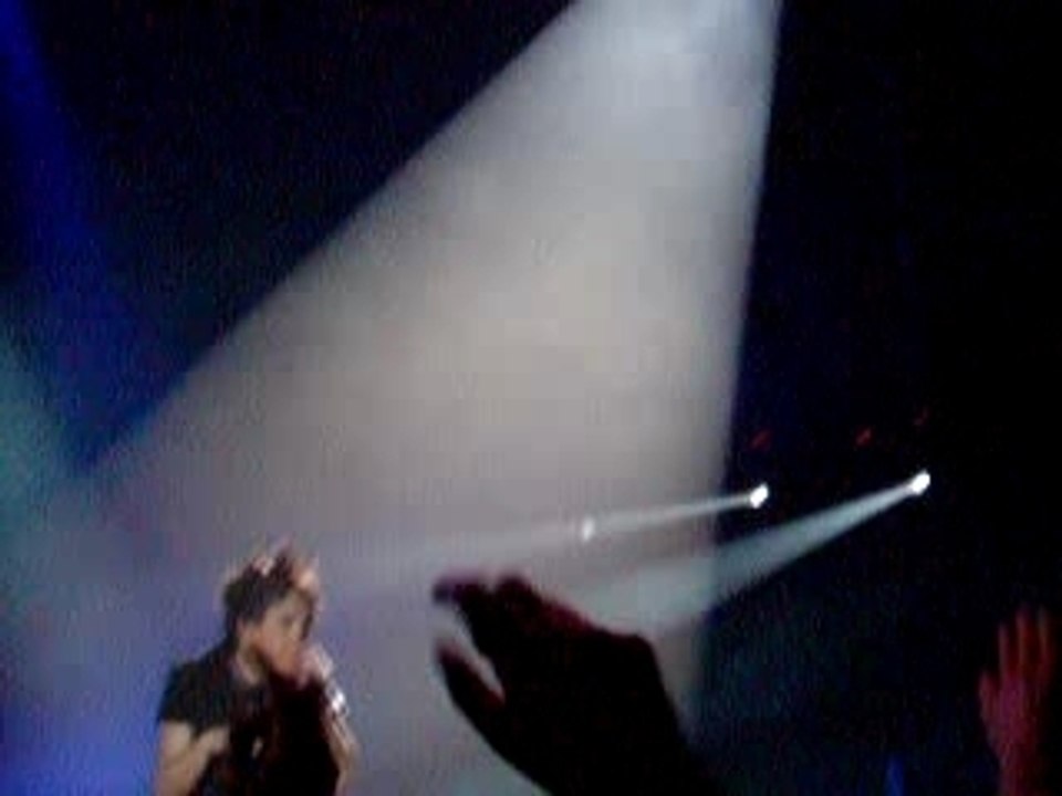 Indochine concert Lyon