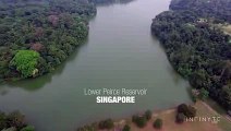 DJI INSPIRE 1 - Lower Peirce Reservoir - Singapore