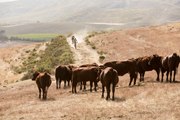 Absa Cape Epic 2015 - Stage 3 - The Race