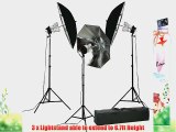 Video Light kit L Umbrealla Softbox Lighting Kit 2400w Portrait Lighting By Fancierstudio 9004S