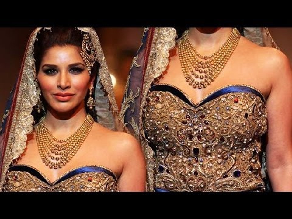 Sexy Sophie Chaudary Tight Deep Choli Exposing Milky Bosoms