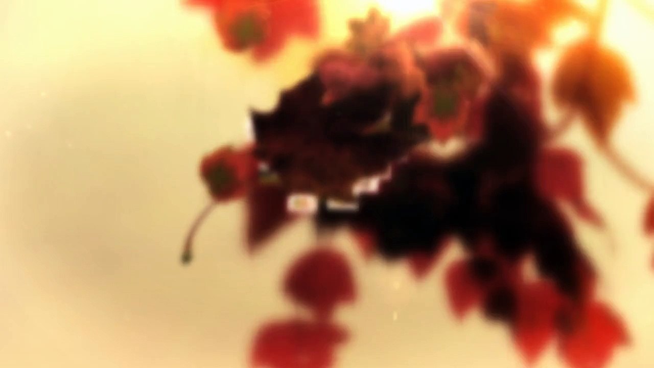 Publiczne place zabaw Ogrodosfera.pl