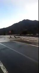 Silent Message for all. Courtesy — Jahanzaib Anwer