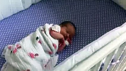 Boxer Responds To Newborns First Cries