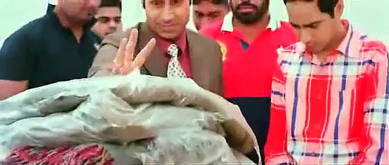 Binnu Dhillon Comedy - Punjabi Funny Scenes 2