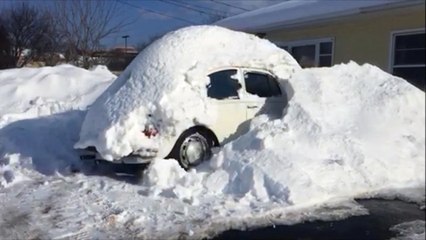 Classic VW BuGs Beetle Breaks out of Snow Ready for Spring!