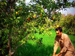 Zamung Pakistan, Taxila, Part 2