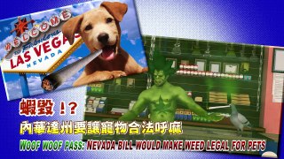 Pot for pets: Nevada bill would make medicinal marijuana available for animals