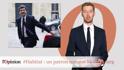 #tweetclash : #Habitat : un patron nommé Montebourg