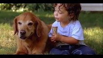 Sharing is caring! Toddlers share ice cream with pet dogs
