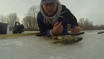Un homme complètement fou attrape des poissons à travers la glace avec son pénis