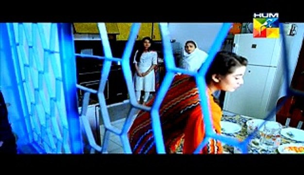 Sartaj Mera Tu Raaj Mera Episode 15 on Hum Tv in High Quality 18th March 2015 - RajanPurians - dramaserialpk.blogspot.com,