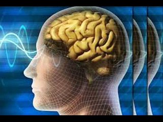 Understanding Scientific Research Methods 🔬