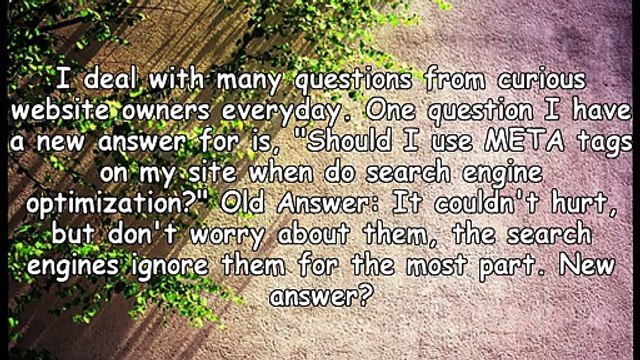 Should Meta Tags Be Used With Search Engine Optimization?