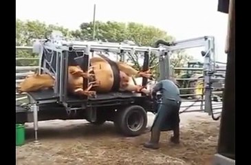 This is really amazing job